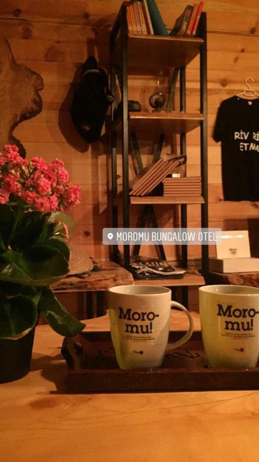 Moromu Bungalows Çamlıhemşin Exteriör bild